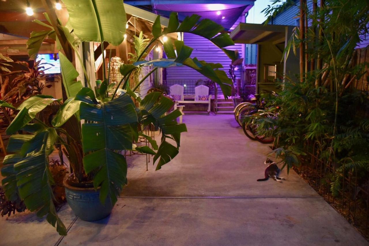 The Dragonfly Treme Guest House نيو أورلينز المظهر الخارجي الصورة