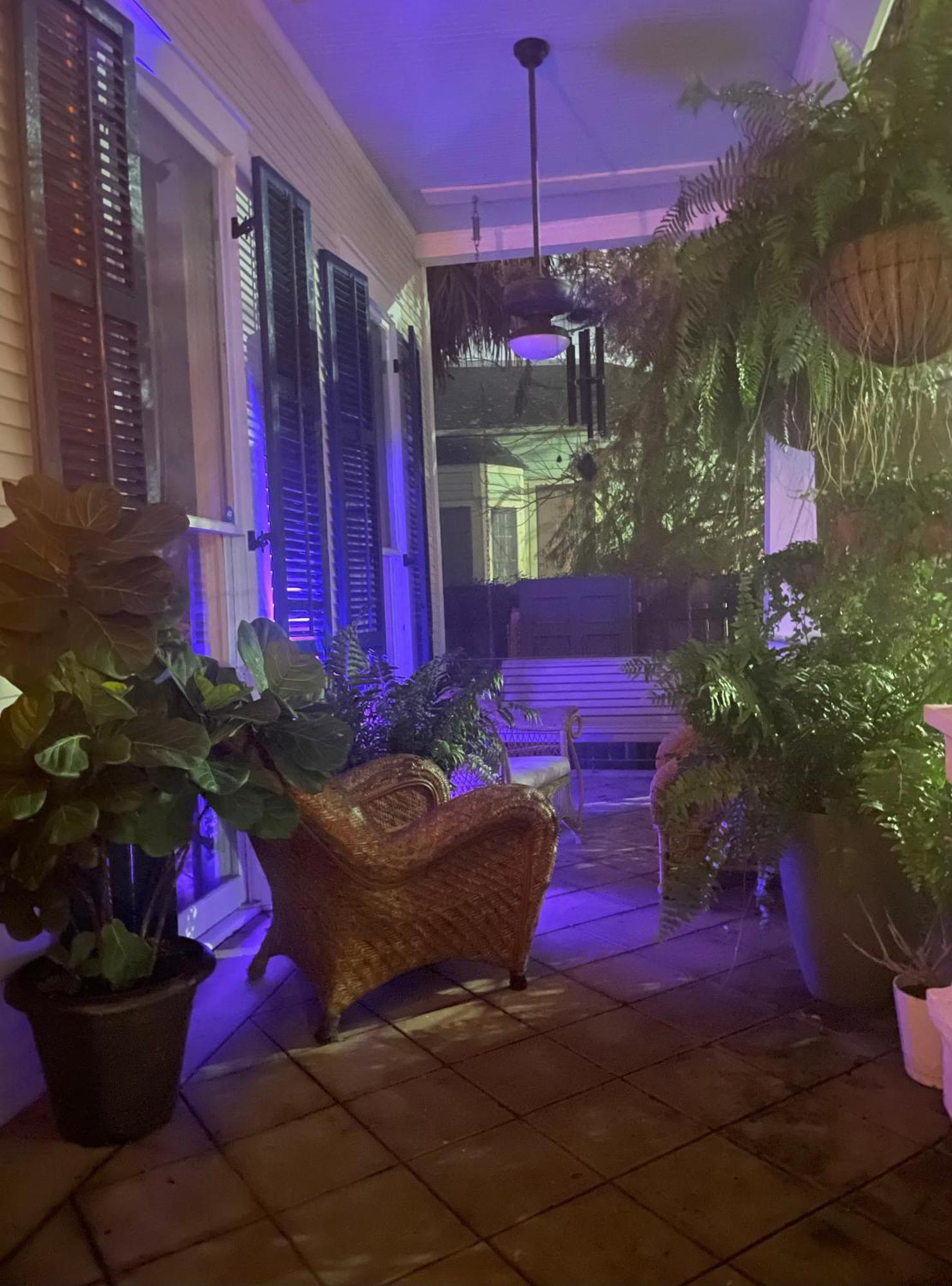 The Dragonfly Treme Guest House نيو أورلينز المظهر الخارجي الصورة