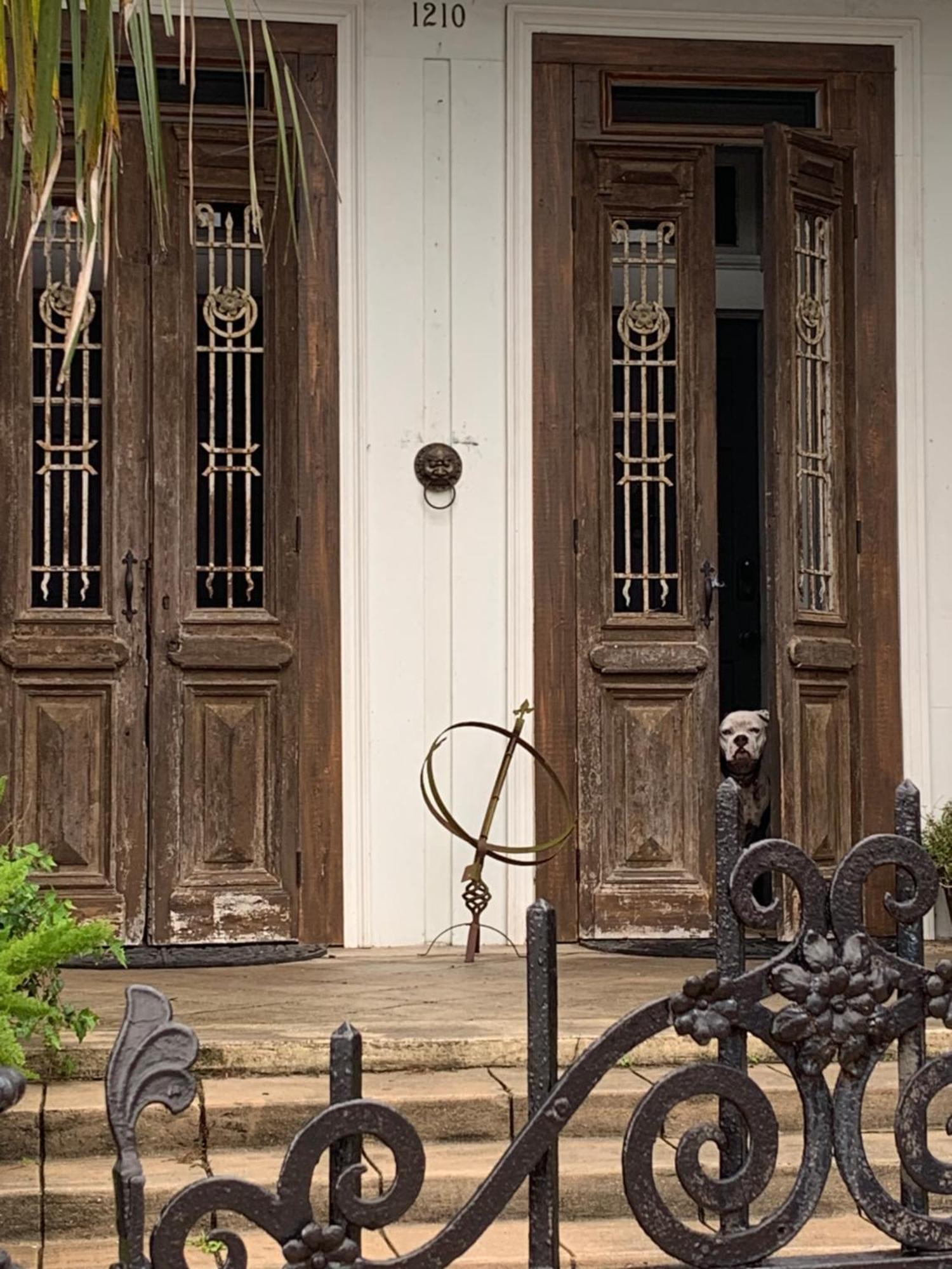 The Dragonfly Treme Guest House نيو أورلينز المظهر الخارجي الصورة