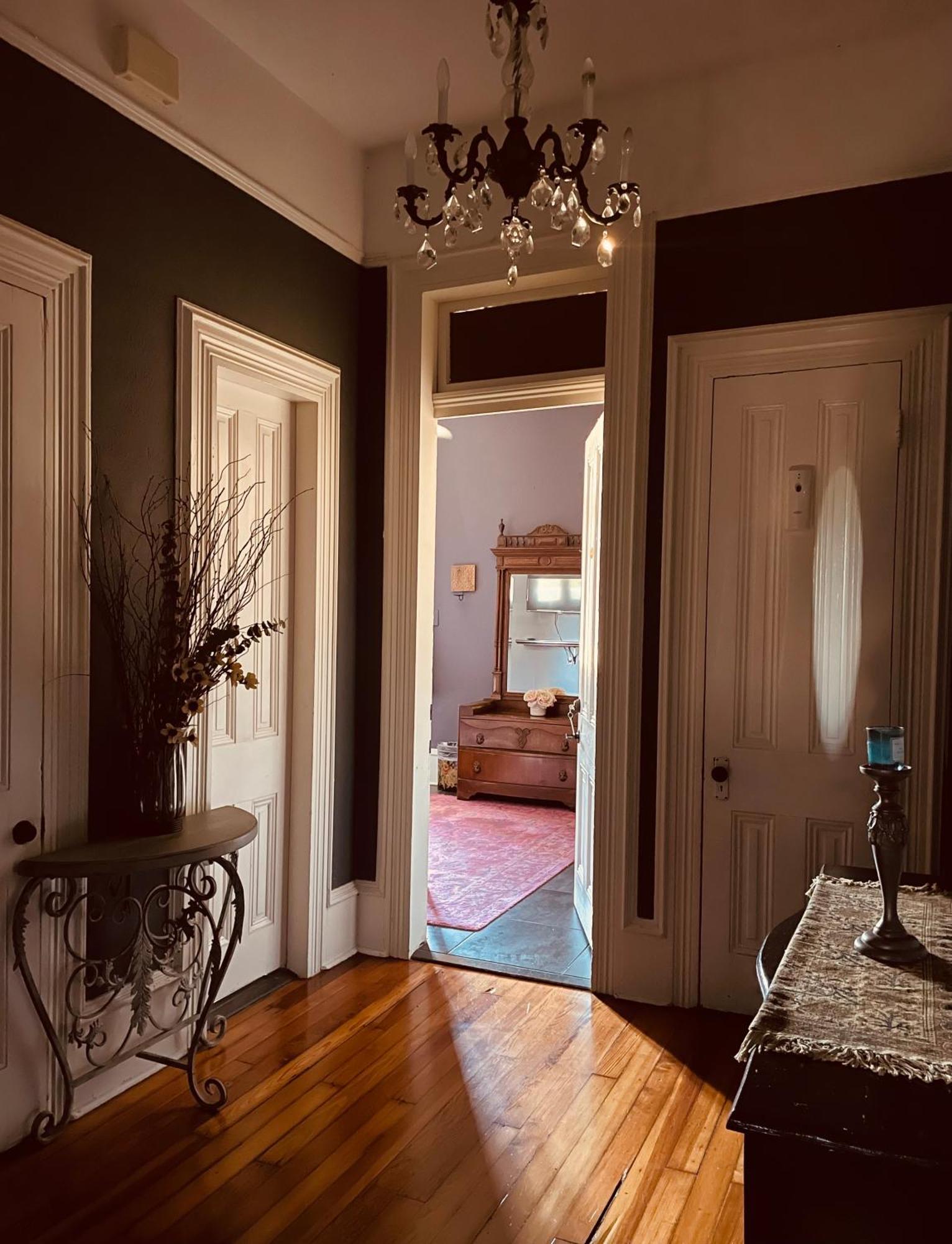 The Dragonfly Treme Guest House نيو أورلينز المظهر الخارجي الصورة