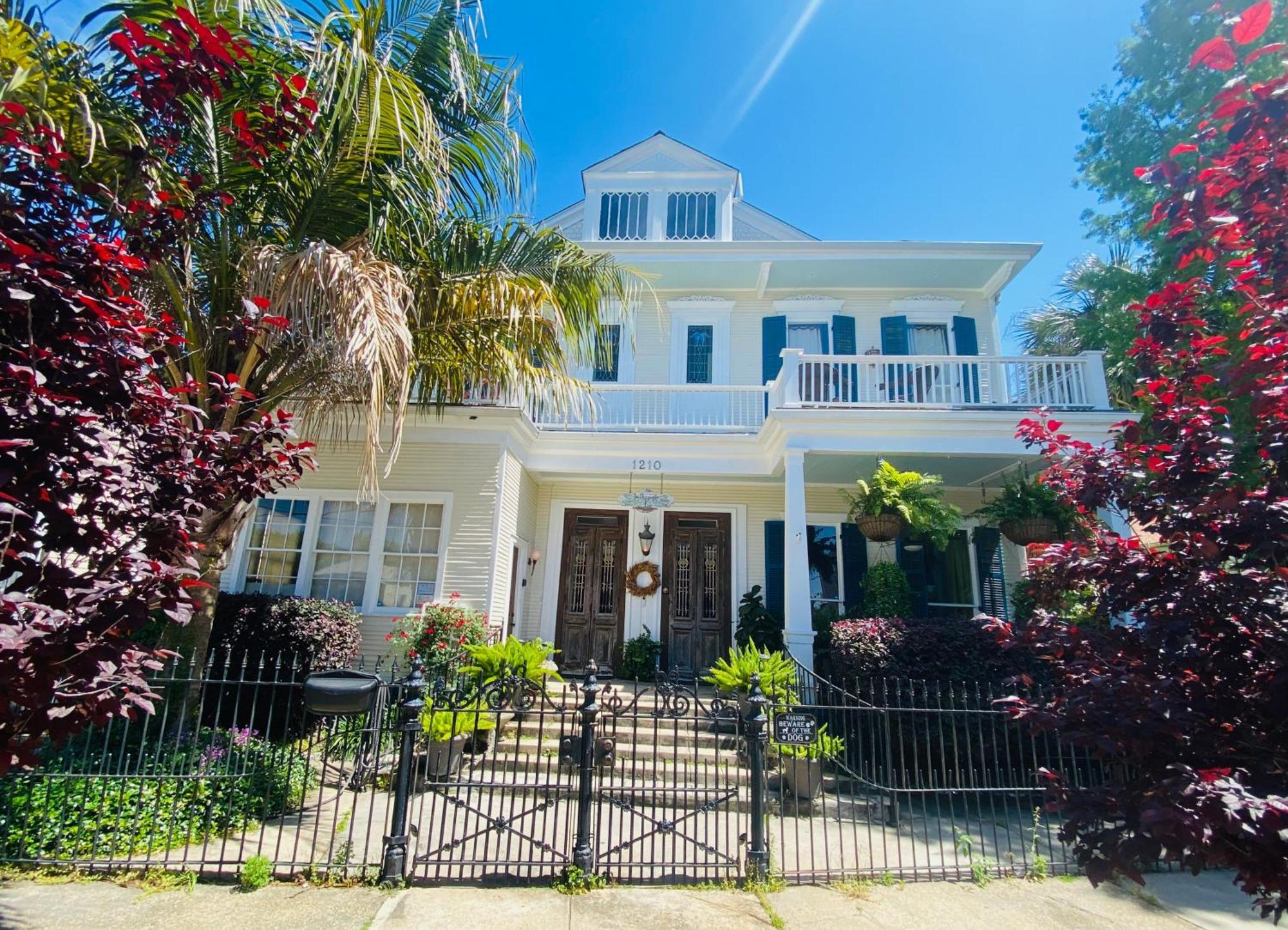 The Dragonfly Treme Guest House نيو أورلينز المظهر الخارجي الصورة