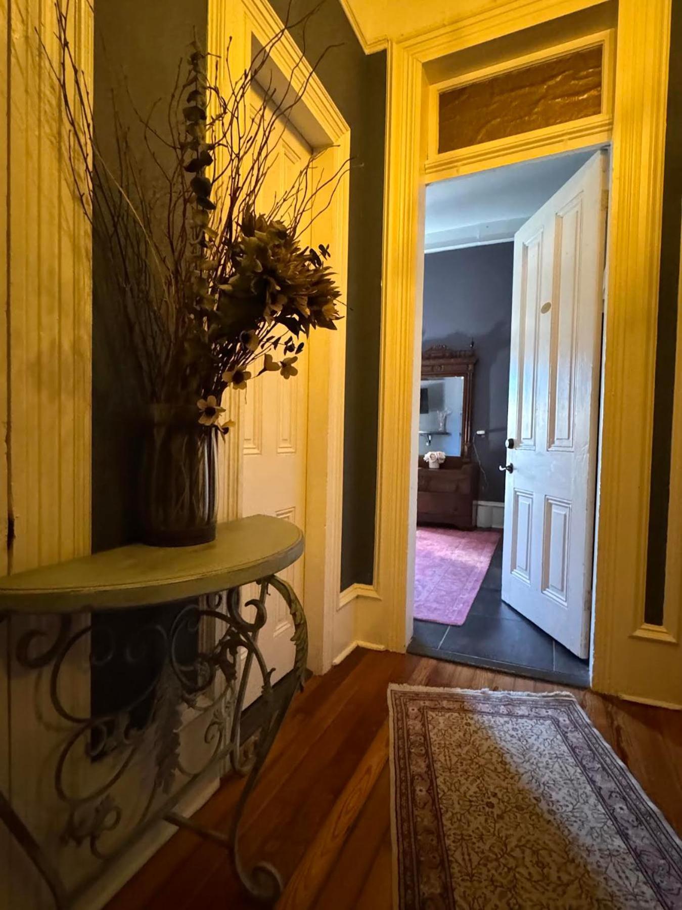 The Dragonfly Treme Guest House نيو أورلينز المظهر الخارجي الصورة