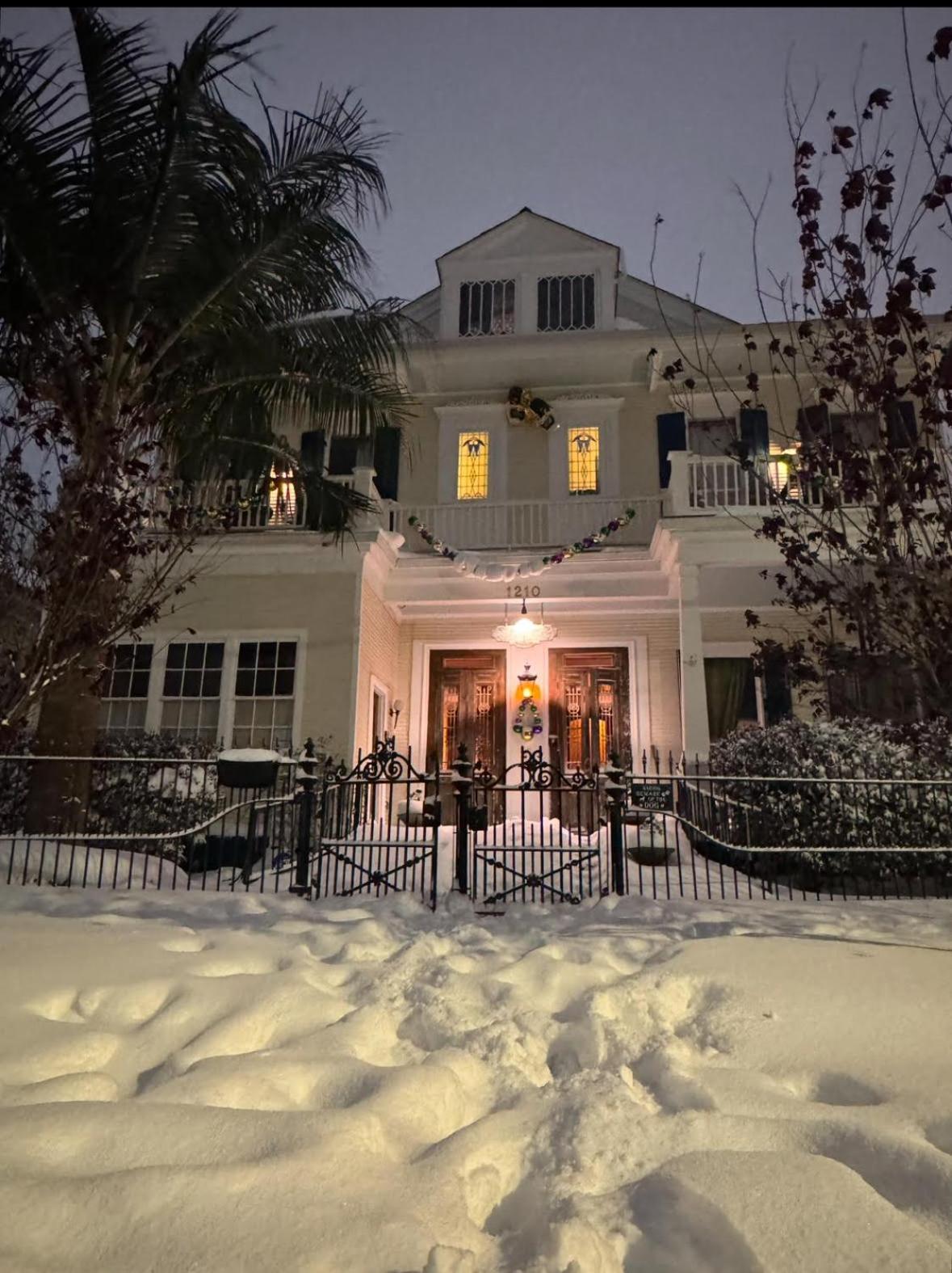 The Dragonfly Treme Guest House نيو أورلينز المظهر الخارجي الصورة